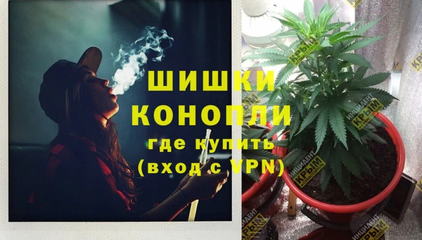 стафф Балахна