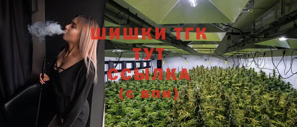 spice Аркадак